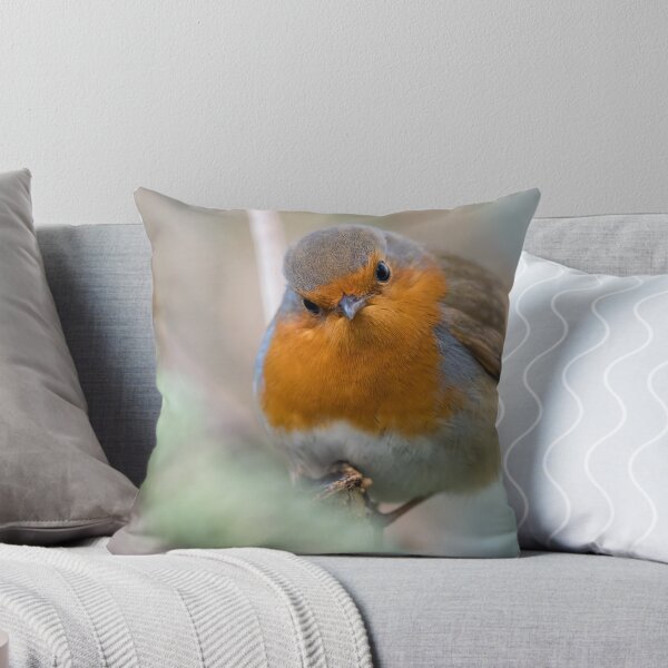 Item preview, Inquisitive Cheeky Robin designed and sold by Tony Skerl.