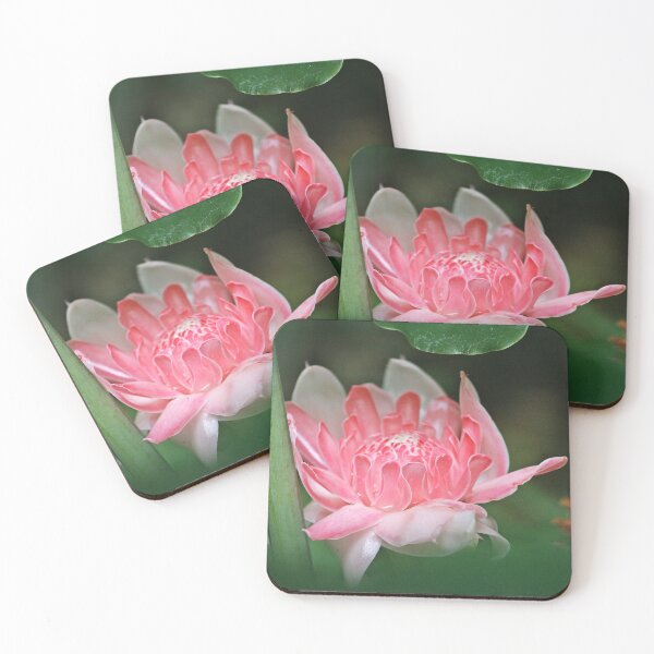 Item preview, Flowering Pink Torch Ginger - Etlingera Elatior designed and sold by NaturePolarized.