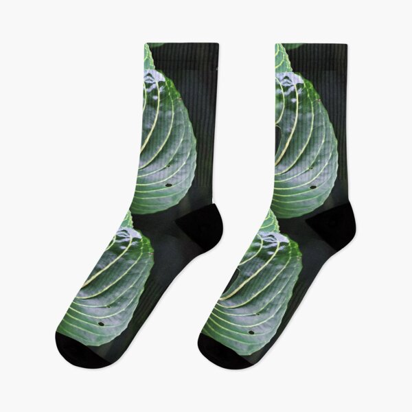 Item preview, Jungle Love Art designed and sold by NaturePolarized.