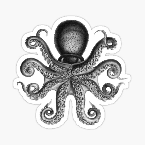 Octopus Squid Kraken Art Tentacles Seashell Deep Sea Ocean Creatures Lover (Black & White) Sticker