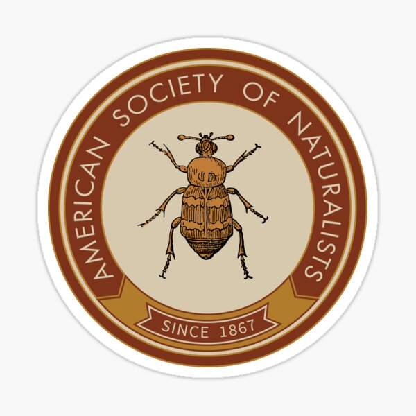 Burying Beetle (Orange) Sticker