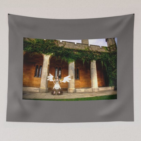 Item preview, Steampunk At The Asylum designed and sold by Paul Thompson Photography.