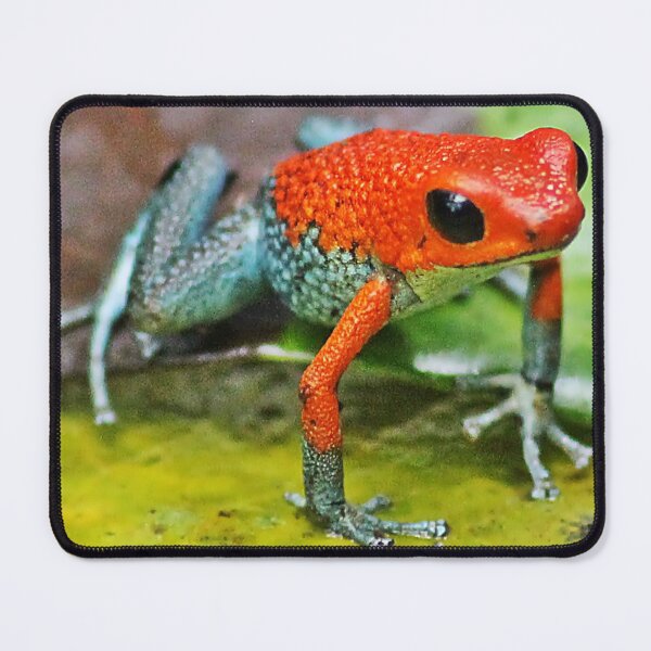 Item preview, Dart Frog - Dendrobates Pumilio designed and sold by NaturePolarized.