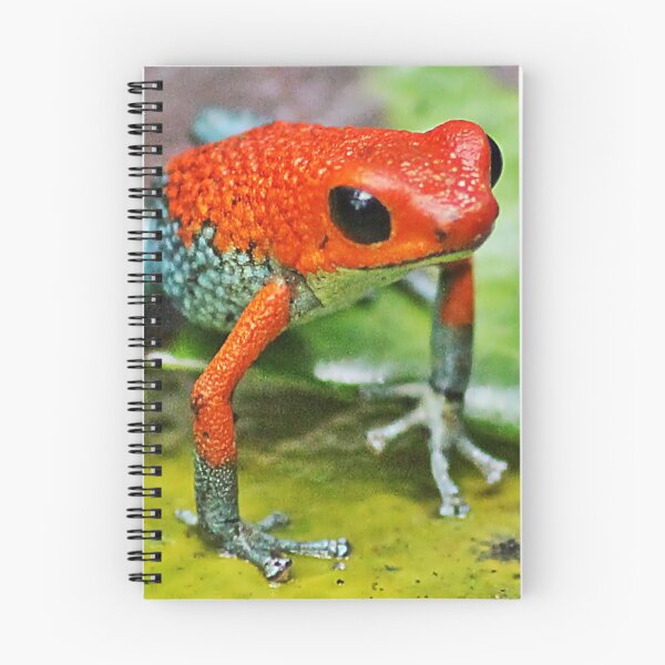 Item preview, Dart Frog - Dendrobates Pumilio designed and sold by NaturePolarized.