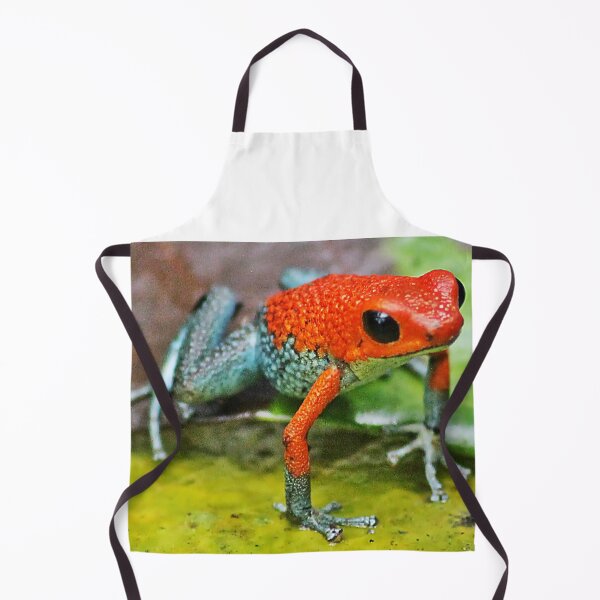 Item preview, Dart Frog - Dendrobates Pumilio designed and sold by NaturePolarized.