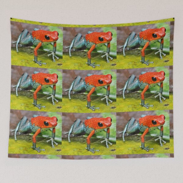 Item preview, Dart Frog - Dendrobates Pumilio designed and sold by NaturePolarized.