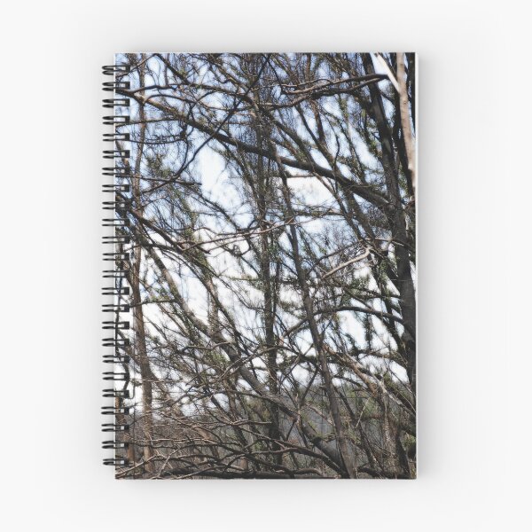 Item preview, After  designed and sold by Jodie Cooper.