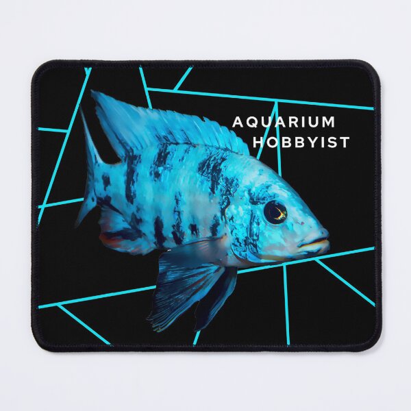 Item preview, Blue Peacock Cichlid Black Background designed and sold by GFishy.