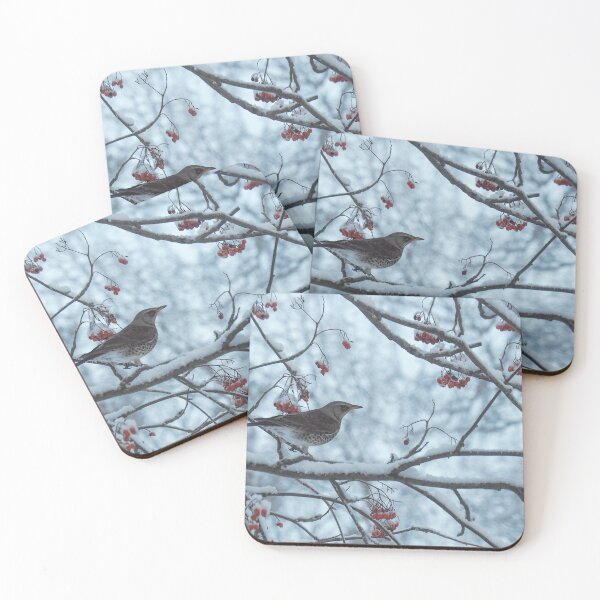 Item preview, Wintering thrush  designed and sold by Julia Pärnänen.