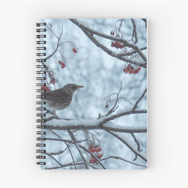 Item preview, Wintering thrush  designed and sold by Julia Pärnänen.