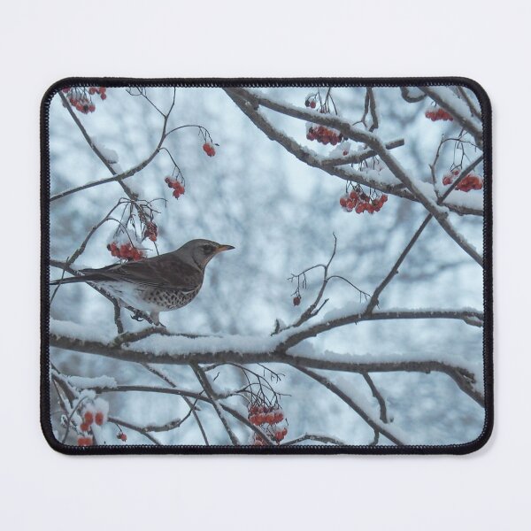 Item preview, Wintering thrush  designed and sold by Julia Pärnänen.