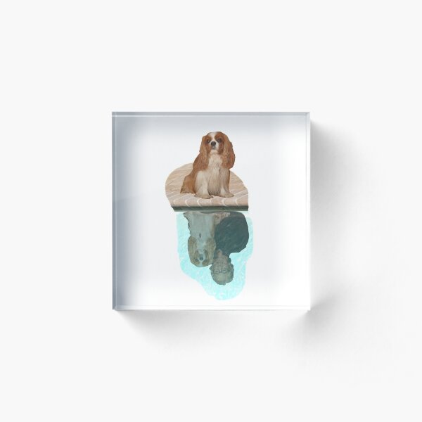 Lucie Dreaming 2 Acrylic Block