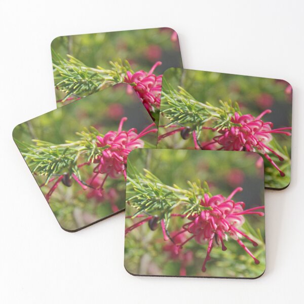 Artikelvorschau, Rosmarin Grevillea in Westaustralien entworfen und verkauft von lezvee.
