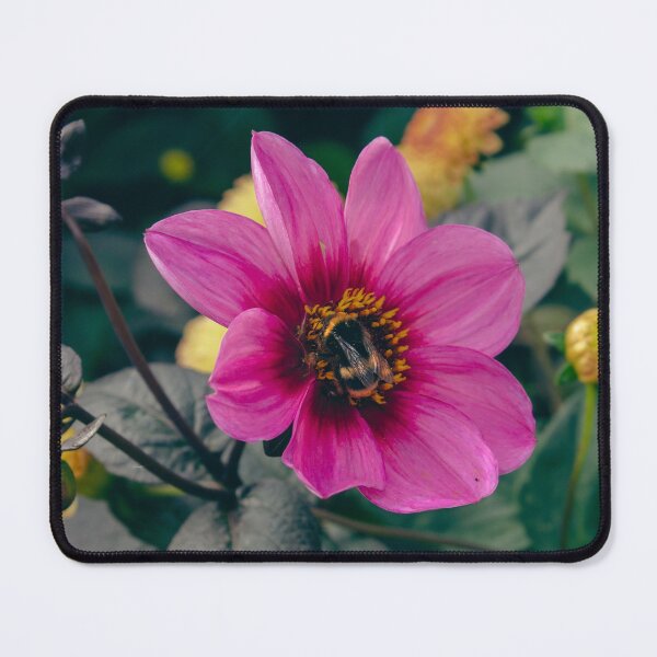 Item preview, Cute bumblebee on a pink flower designed and sold by chiaravisuals.