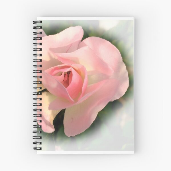 Item preview, Pink Rose flower designed and sold by Akashdigiart.