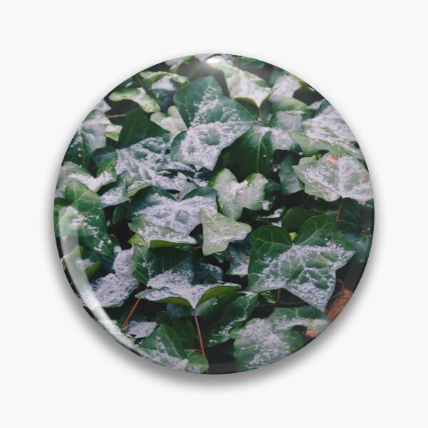 Item preview, Light Dusting designed and sold by Tessia Photography.