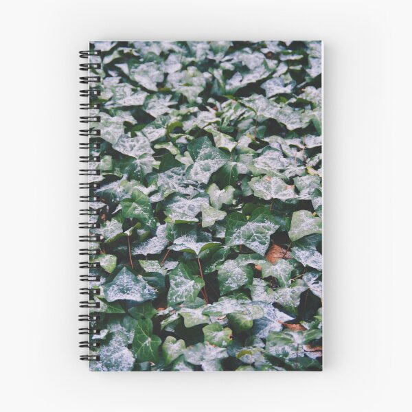 Item preview, Light Dusting designed and sold by Tessia Photography.