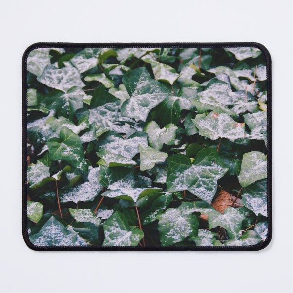 Item preview, Light Dusting designed and sold by Tessia Photography.