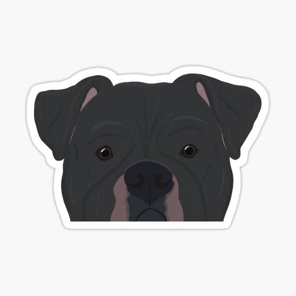 Item preview, Curious Black American Bulldog designed and sold by kherrin.