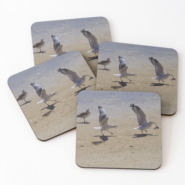 Item preview, The Chase - Gulls On Penguin Island WA designed and sold by lezvee.