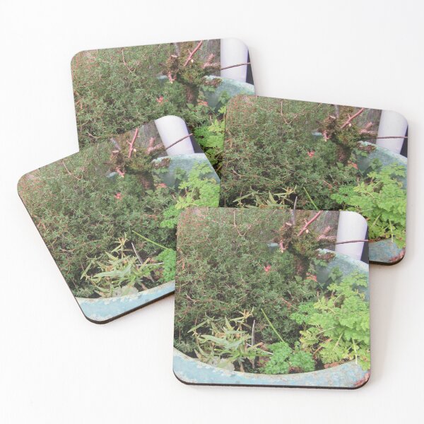 Item preview, Herb Garden In A Planter designed and sold by lezvee.