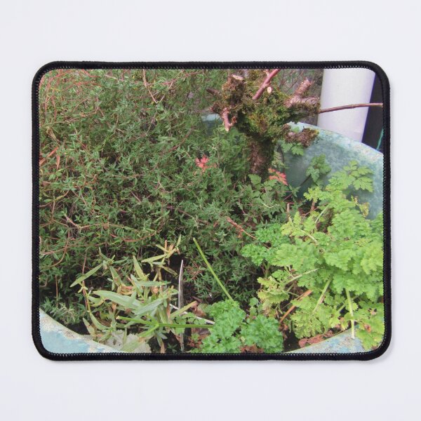 Item preview, Herb Garden In A Planter designed and sold by lezvee.