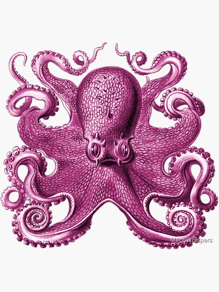 cute squid octopus tentacle' Sticker