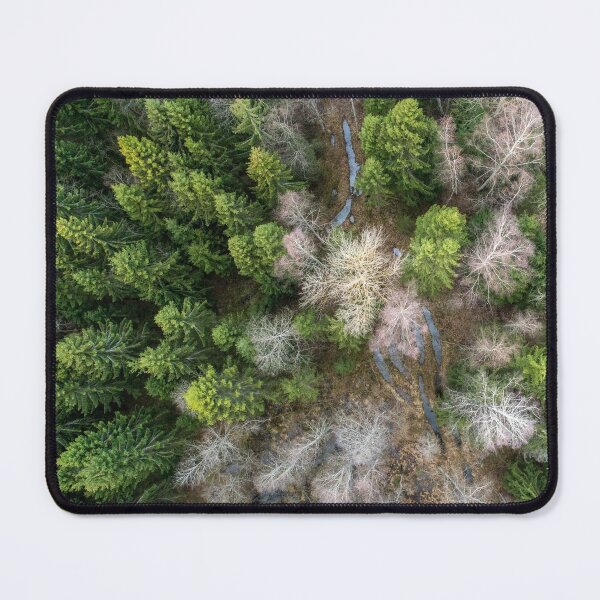 Item preview, Birch And Spruce Trees designed and sold by ONORMAL.
