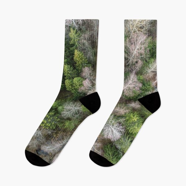 Item preview, Birch And Spruce Trees designed and sold by ONORMAL.