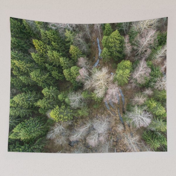 Item preview, Birch And Spruce Trees designed and sold by ONORMAL.