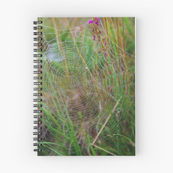 Item preview, Moorland Spider Web designed and sold by lezvee.