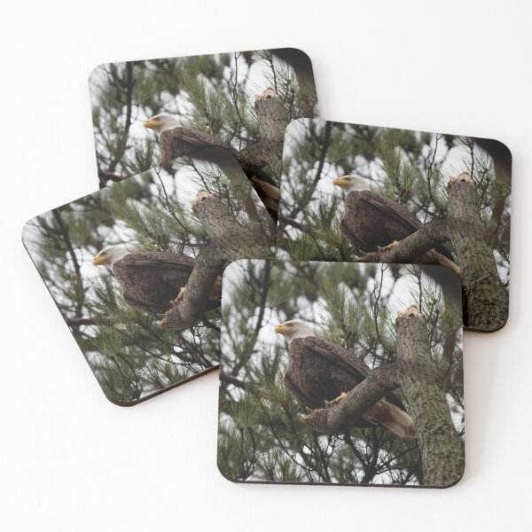 Item preview, Bald Eagle Perched  designed and sold by billduncan.