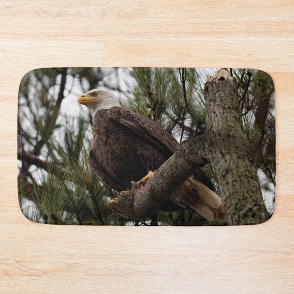 Item preview, Bald Eagle Perched  designed and sold by billduncan.