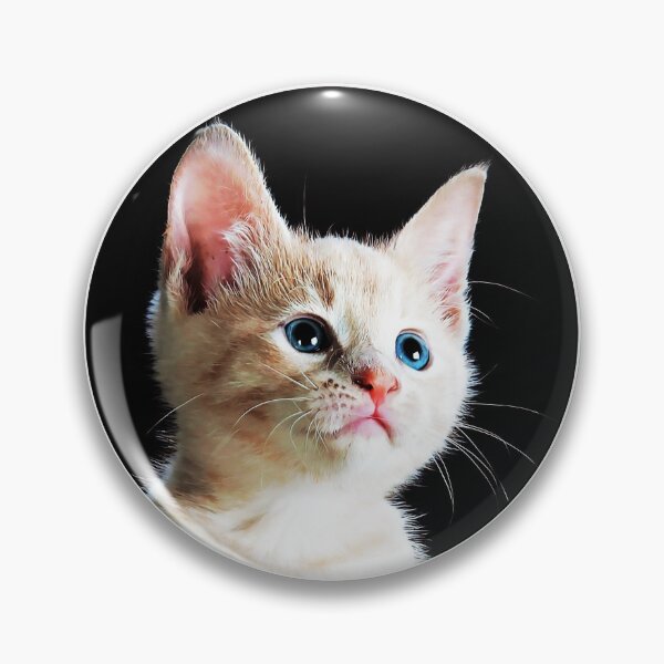Item preview, Hopeful Kitty designed and sold by JoanNinjaHen.