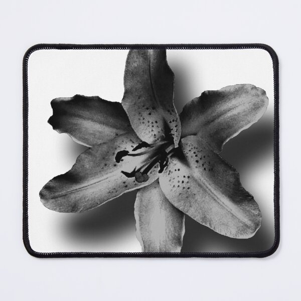 Item preview, Asiatic Lily 2 designed and sold by Rosemary Sobiera.