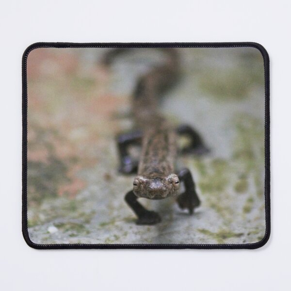 Item preview, The Stealth Walk 1 designed and sold by NaturePolarized.
