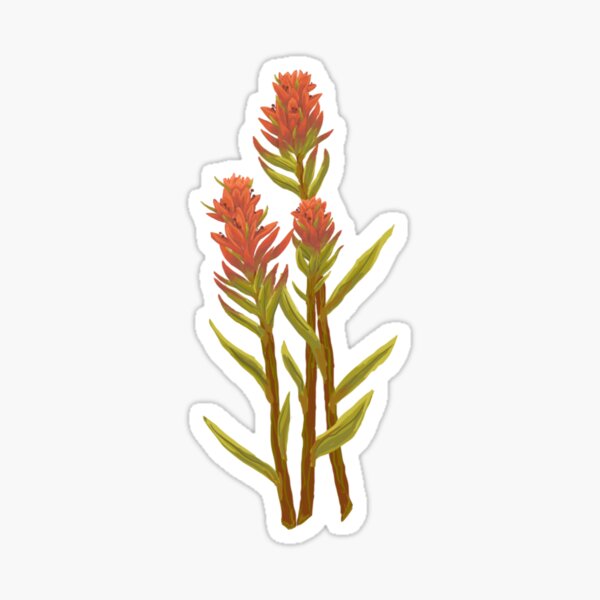 Item preview, Indian Paintbrush designed and sold by Cebennett1.