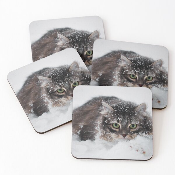 Item preview, Siberian Forest Kitten In Snow designed and sold by billduncan.