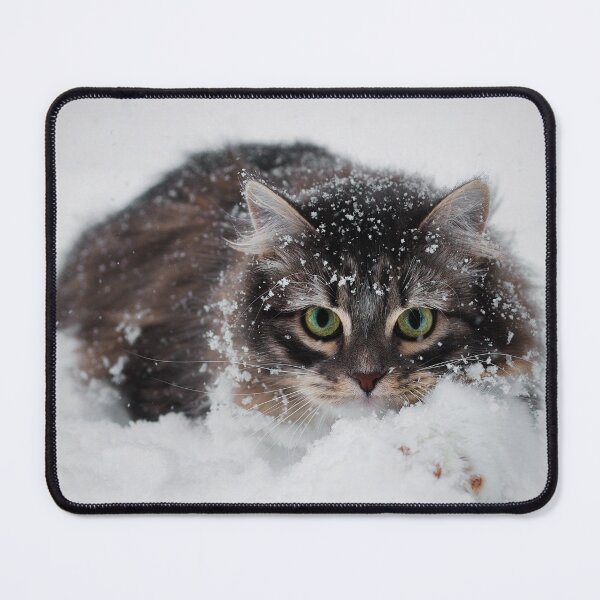 Item preview, Siberian Forest Kitten In Snow designed and sold by billduncan.