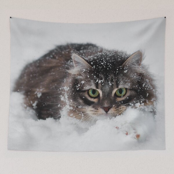Item preview, Siberian Forest Kitten In Snow designed and sold by billduncan.