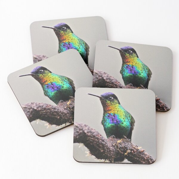 Item preview, I see you, you see me... Fiery Throated Hummingbird designed and sold by NaturePolarized.