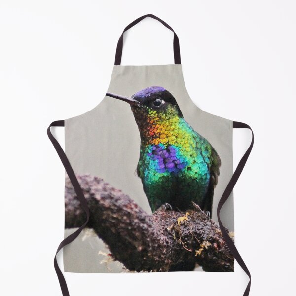Item preview, I see you, you see me... Fiery Throated Hummingbird designed and sold by NaturePolarized.