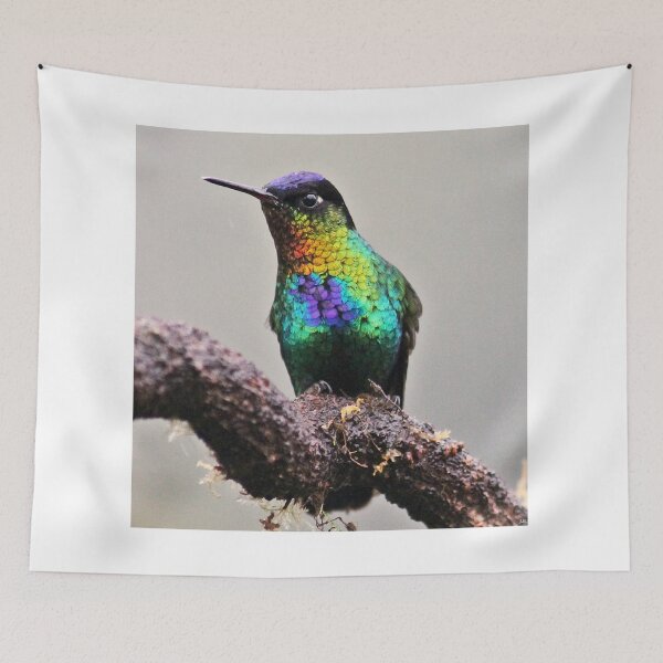 Item preview, I see you, you see me... Fiery Throated Hummingbird designed and sold by NaturePolarized.