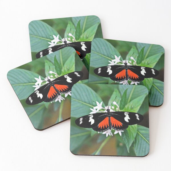 Item preview, Butterfly patterns - Heliconius Hewitsoni designed and sold by NaturePolarized.