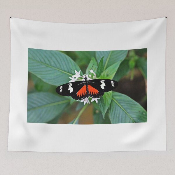 Item preview, Butterfly patterns - Heliconius Hewitsoni designed and sold by NaturePolarized.