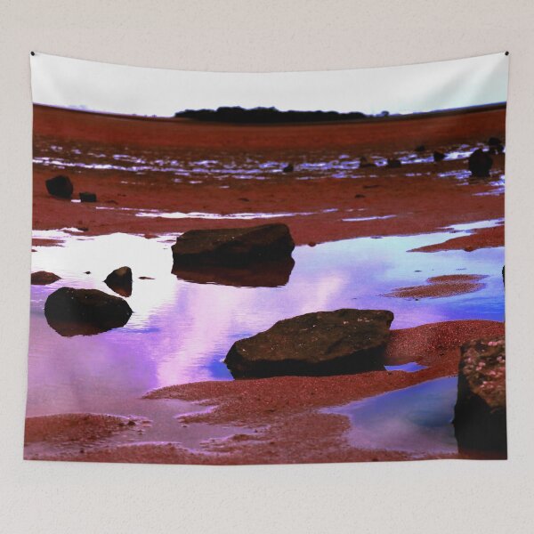 Item preview, Wellington Point - Rocks, Puddles, and Sand designed and sold by Geoff Treagus.