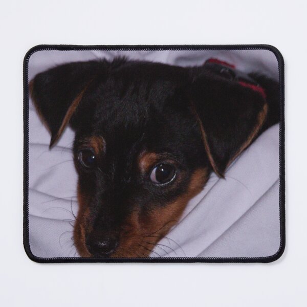 Item preview, Puppy Love designed and sold by GingerMan2550.