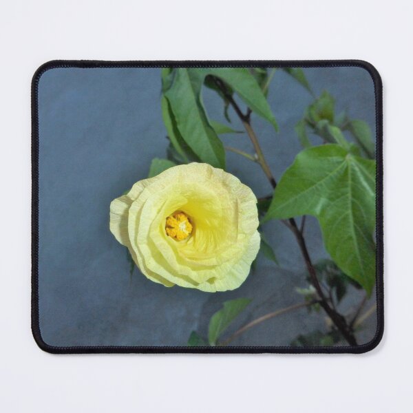 Item preview, Yellow Flower, Cotton Flower (1 of 2) designed and sold by Monica-Stroud.