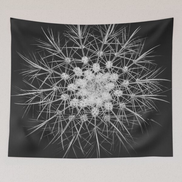 Item preview, Cactus star designed and sold by spechtigel.