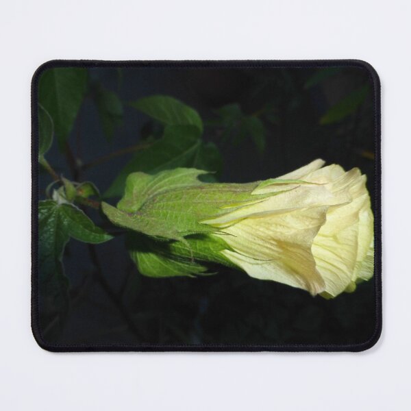 Item preview, Yellow Flower, Cotton Flower (2 of 2) designed and sold by Monica-Stroud.